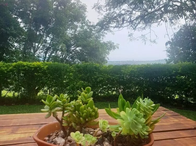 ペンション La Luna @ Misty Mountains