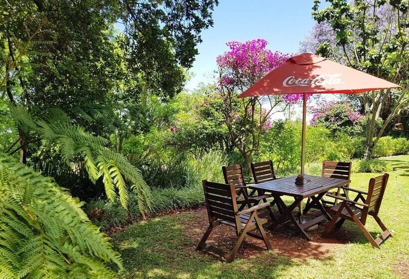 פנסיון La Luna @ Misty Mountains