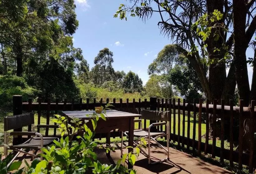 ペンション La Luna @ Misty Mountains