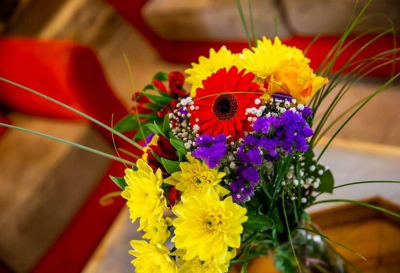 פנסיון Maison D Hôtes La Ferme De L Oudon & Spa