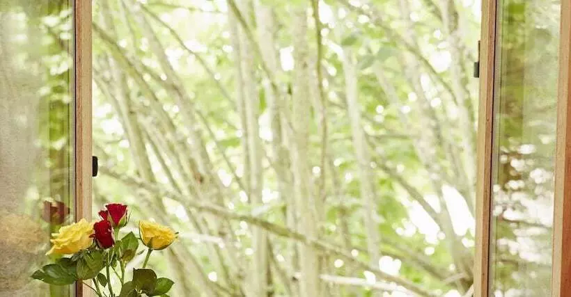 ペンション Manoir Laurette