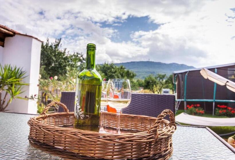 Пансион Penzion Marhulka