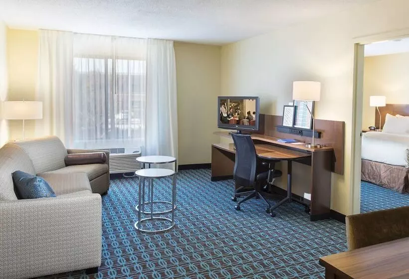 호텔 Fairfield Inn & Suites By Marriott Atlanta Buford/mall Of Georgia