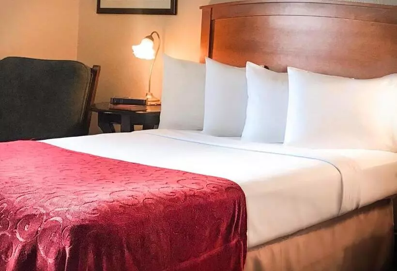 ホテル Historic Plains