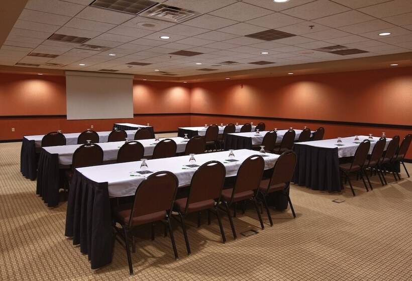 Отель Holiday Inn St. Paul Northeast Lake Elmo, An Ihg