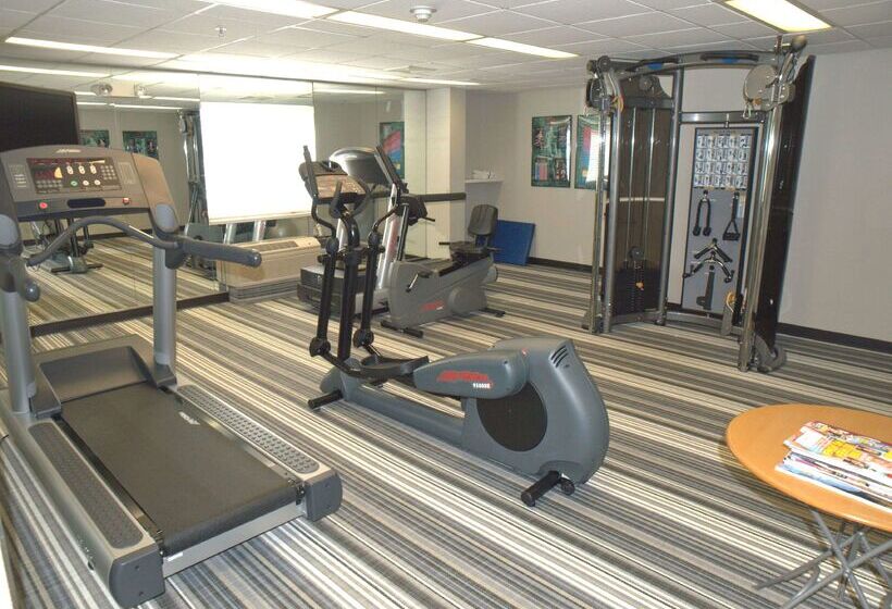 فندق Sonesta Simply Suites Chicago O'hare Airport