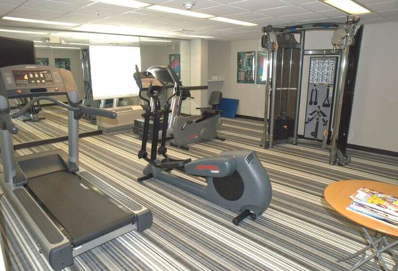 فندق Sonesta Simply Suites Chicago O'hare Airport