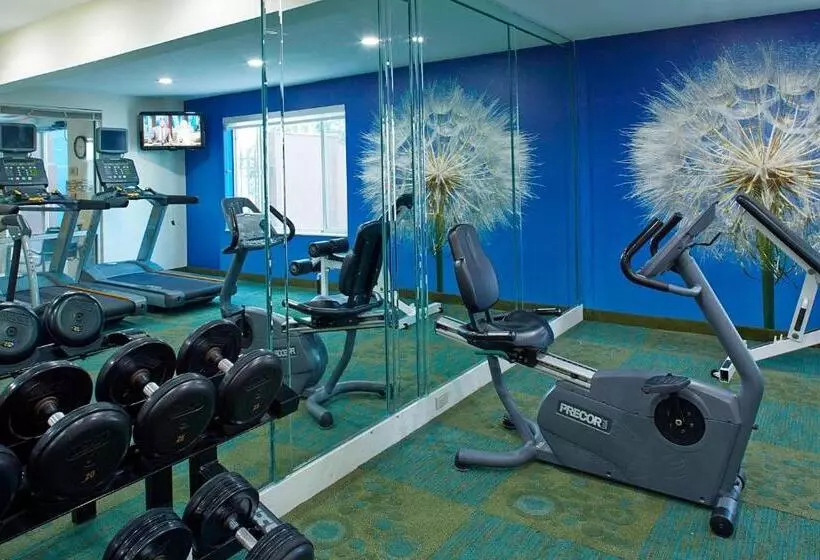 בית מלון כפרי Springhill Suites By Marriott Atlanta Six Flags