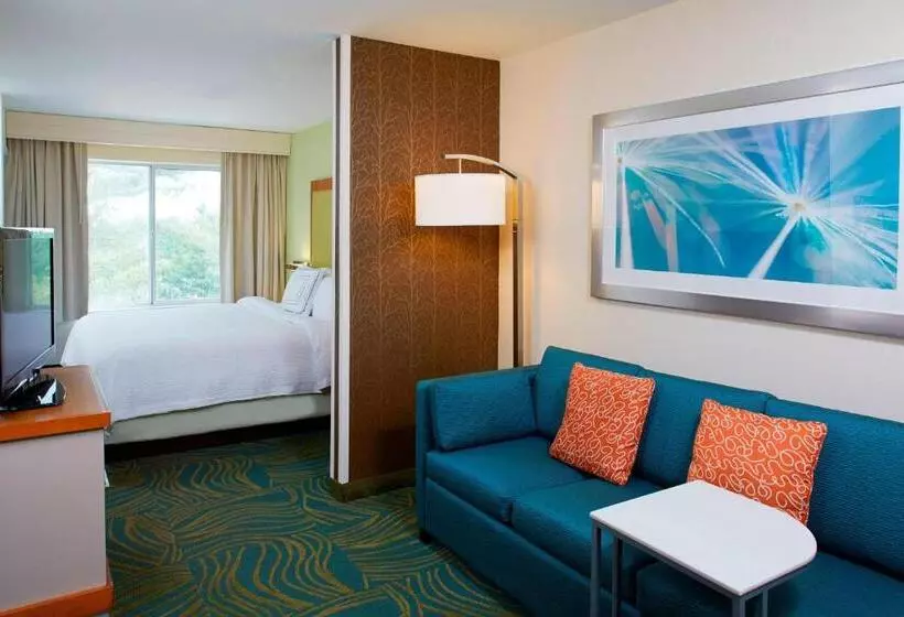 בית מלון כפרי Springhill Suites By Marriott Atlanta Six Flags