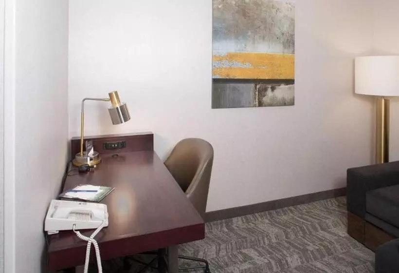 هتل Springhill Suites By Marriott Billings