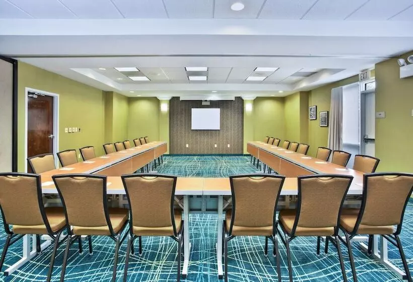 هتل Springhill Suites By Marriott Chicago Southwest At Burr Ridge Hinsdale