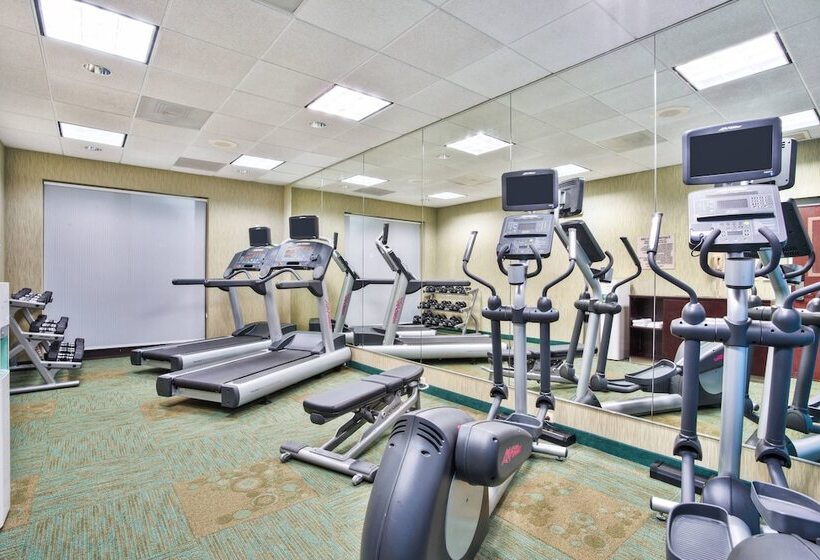 בית מלון כפרי Springhill Suites By Marriott Chicago Southwest At Burr Ridge Hinsdale