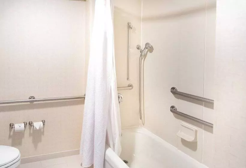 هتل Springhill Suites By Marriott Chicago Southwest At Burr Ridge Hinsdale