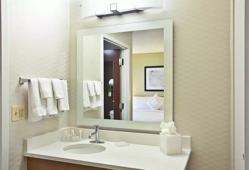 هتل Springhill Suites By Marriott Chicago Southwest At Burr Ridge Hinsdale