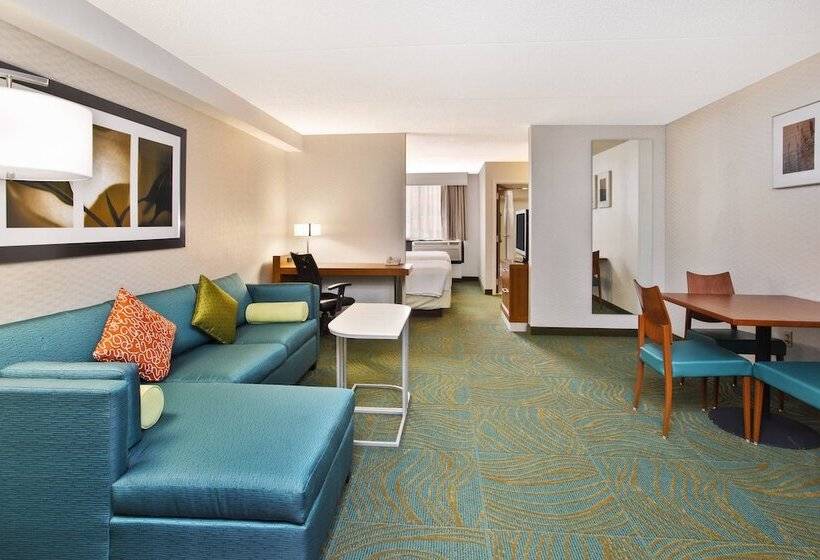 בית מלון כפרי Springhill Suites By Marriott Chicago Southwest At Burr Ridge Hinsdale