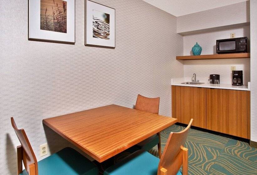 בית מלון כפרי Springhill Suites By Marriott Chicago Southwest At Burr Ridge Hinsdale