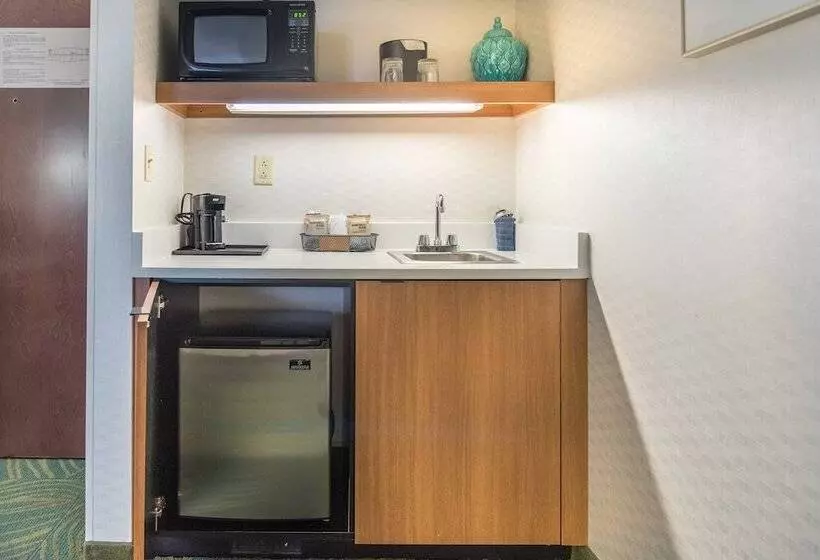 هتل Springhill Suites By Marriott Chicago Southwest At Burr Ridge Hinsdale