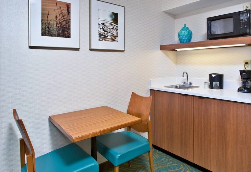 בית מלון כפרי Springhill Suites By Marriott Chicago Southwest At Burr Ridge Hinsdale