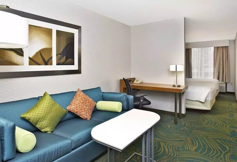 هتل Springhill Suites By Marriott Chicago Southwest At Burr Ridge Hinsdale