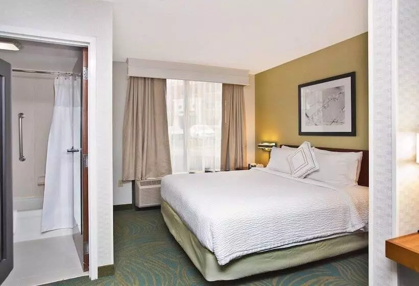هتل Springhill Suites By Marriott Chicago Southwest At Burr Ridge Hinsdale