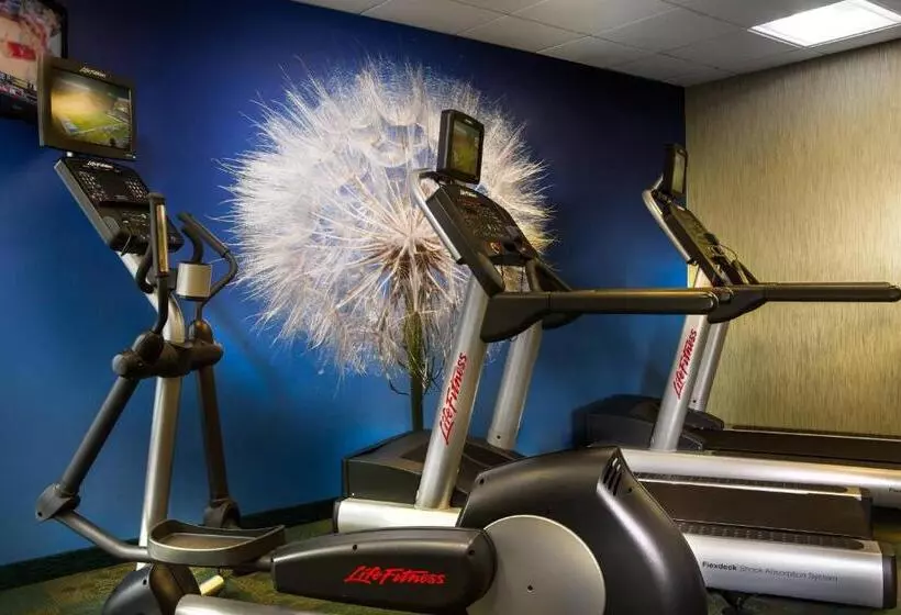 Отель Springhill Suites Dallas Dfw Airport North/grapevine