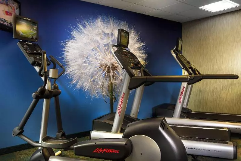 Отель Springhill Suites Dallas Dfw Airport North/grapevine