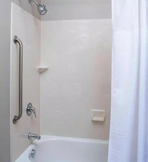 ホテル Springhill Suites By Marriott Frankenmuth