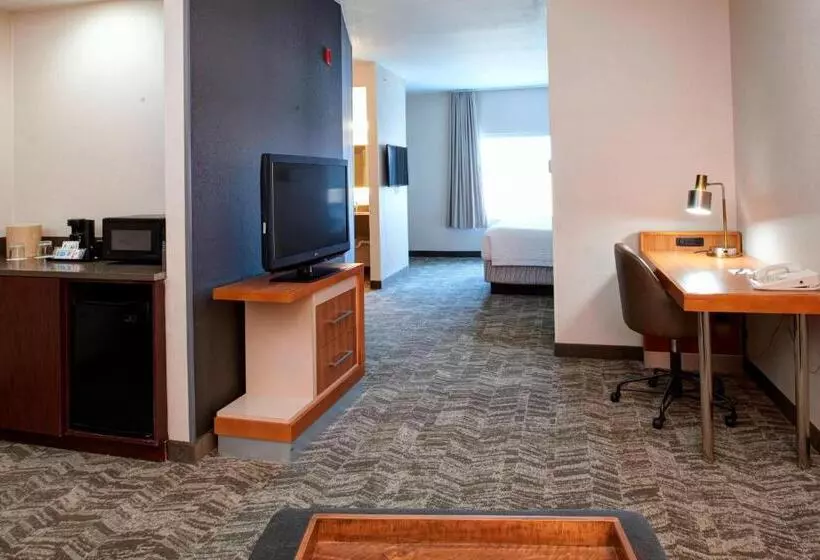 ホテル Springhill Suites By Marriott Frankenmuth