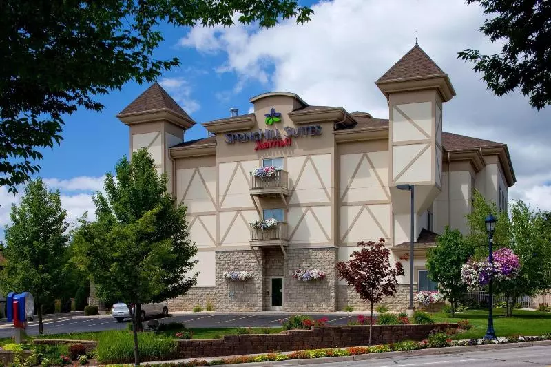 ホテル Springhill Suites By Marriott Frankenmuth
