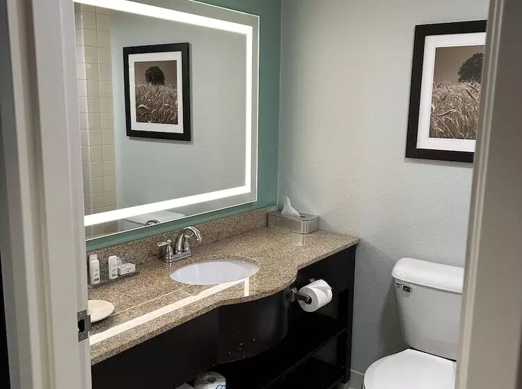 هتل Wingate By Wyndham Green Bay