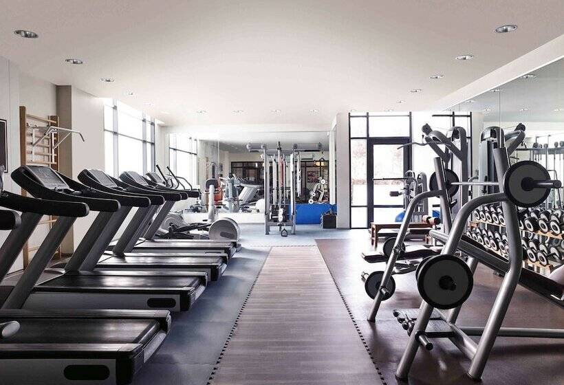 Novotel Paris Roissy Cdg Convention