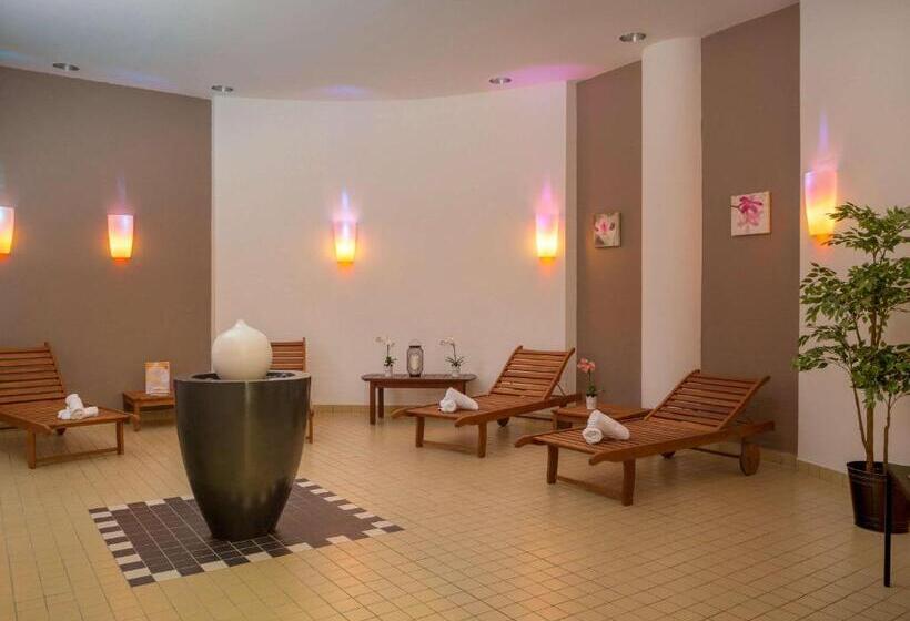 Novotel Paris Roissy Cdg Convention