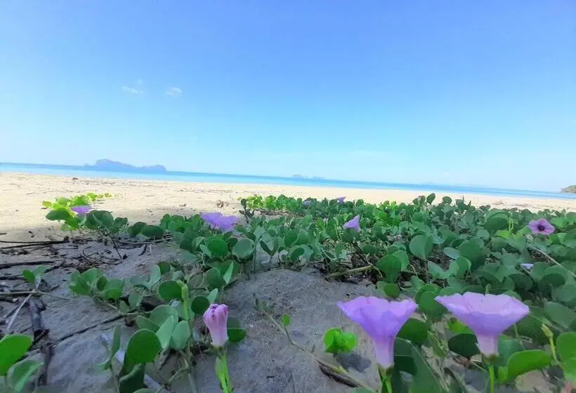 Cameron Island Resort
