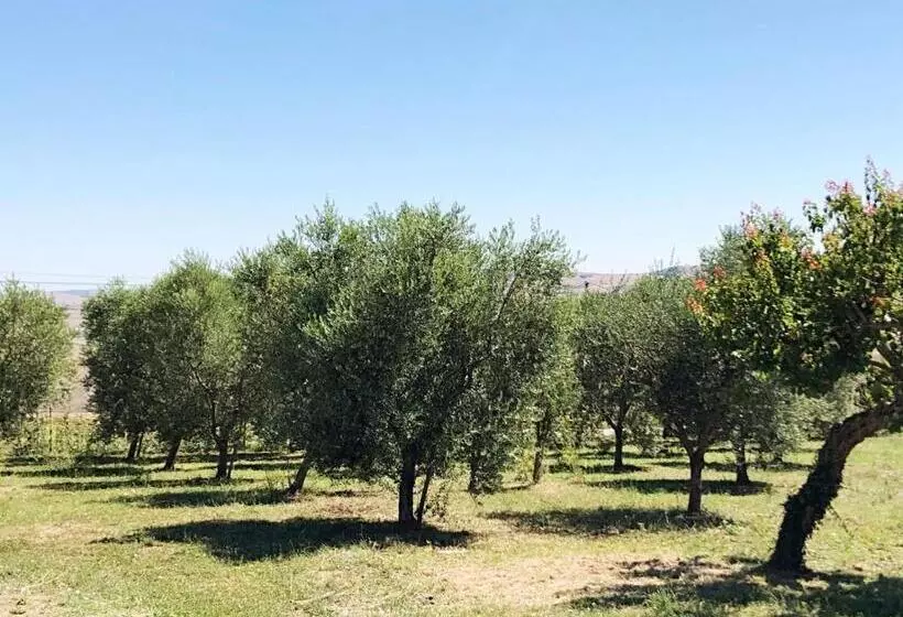 Hotelli Agriturismo Casale Cerere