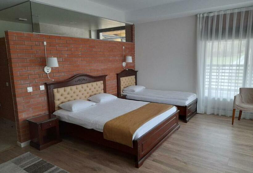 فندق Pensiunea Favorit Ferice