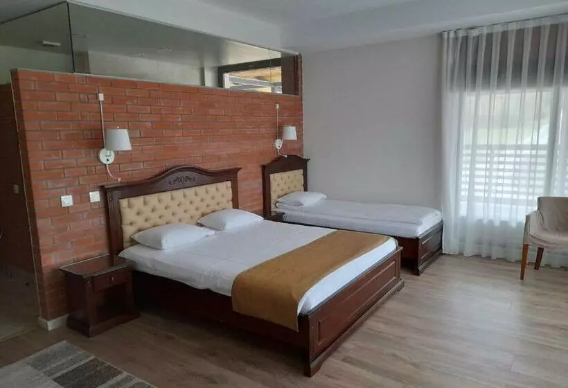 Hotelli Pensiunea Favorit Ferice