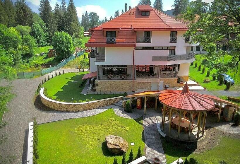 فندق Pensiunea Favorit Ferice