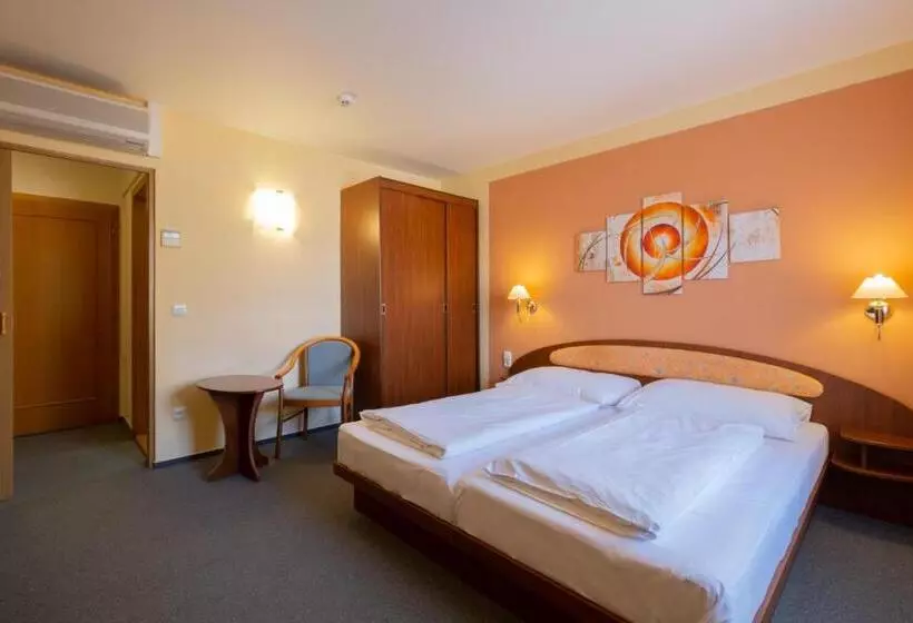 ペンション Mohelnice