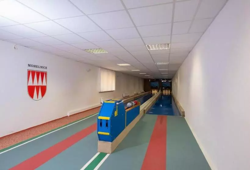 ペンション Mohelnice