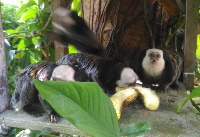 הוסטל Pousada Container Eco Manguinhos