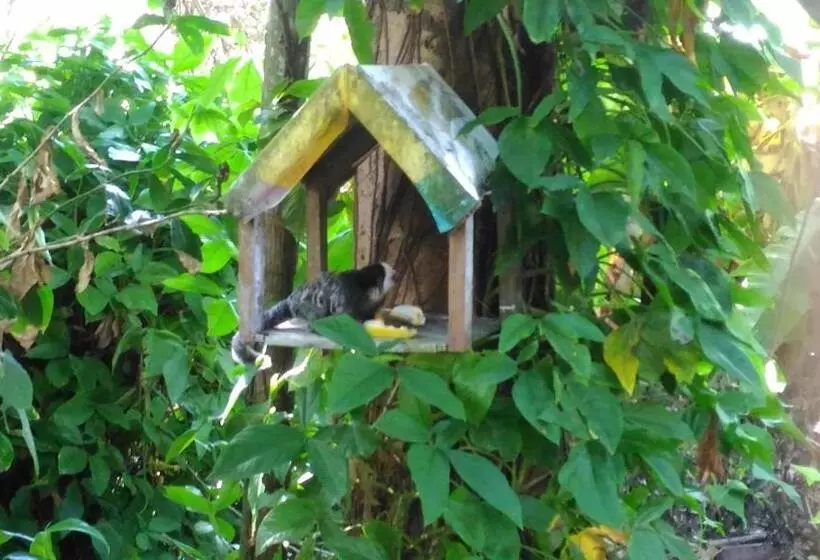 Retkeilymaja Pousada Container Eco Manguinhos