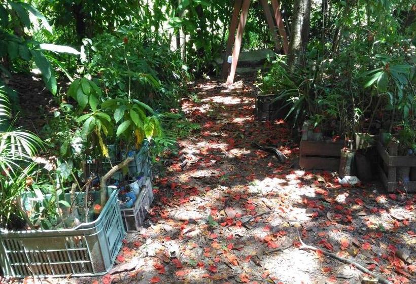 הוסטל Pousada Container Eco Manguinhos