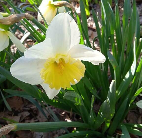 בית מלון כפרי Rupe Delle Sorbe