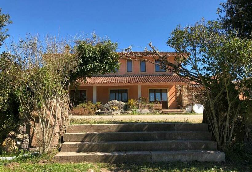 Отель Sa Tanchitta