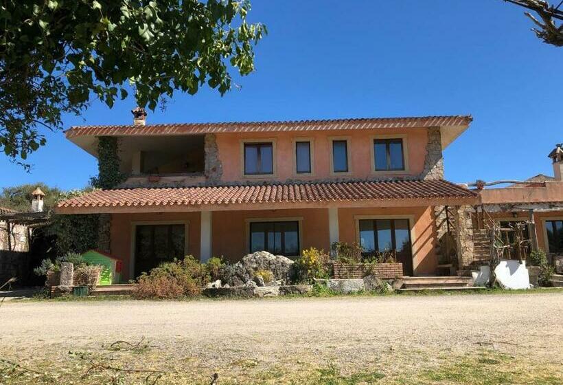 Отель Sa Tanchitta