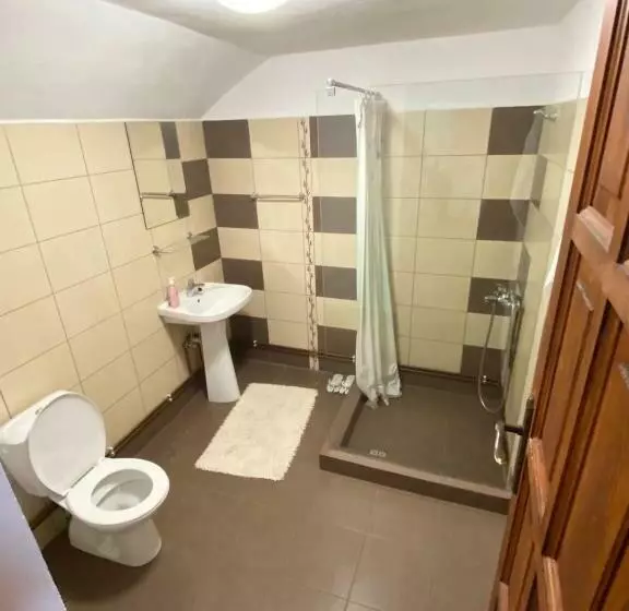 پانسیون Casa De Vacanta Mirela