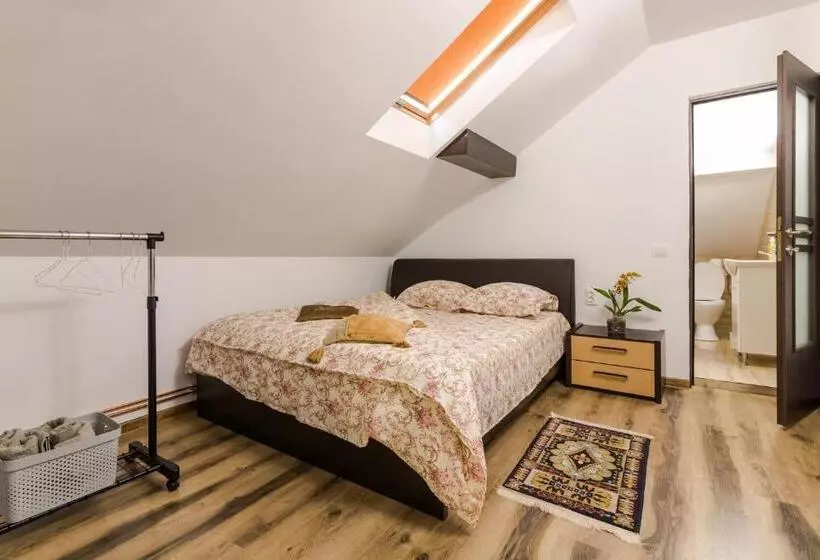 پانسیون Casa De Vacanta Mirela