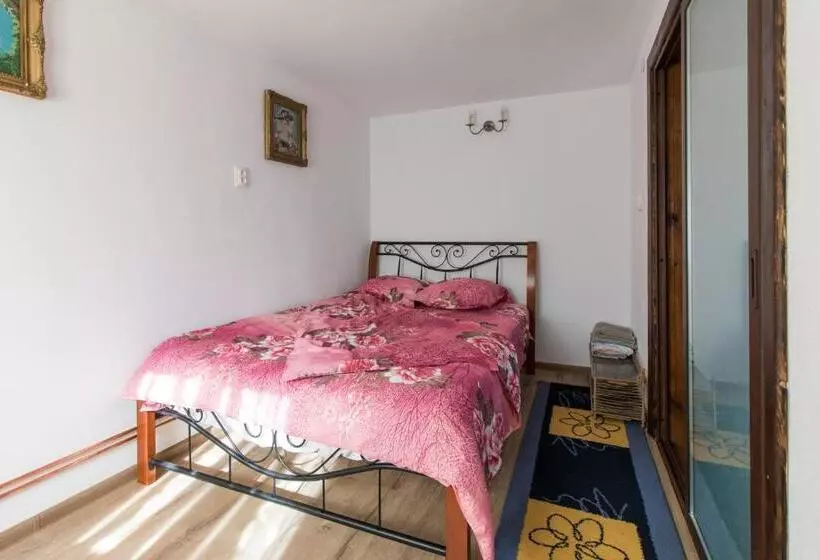 پانسیون Casa De Vacanta Mirela