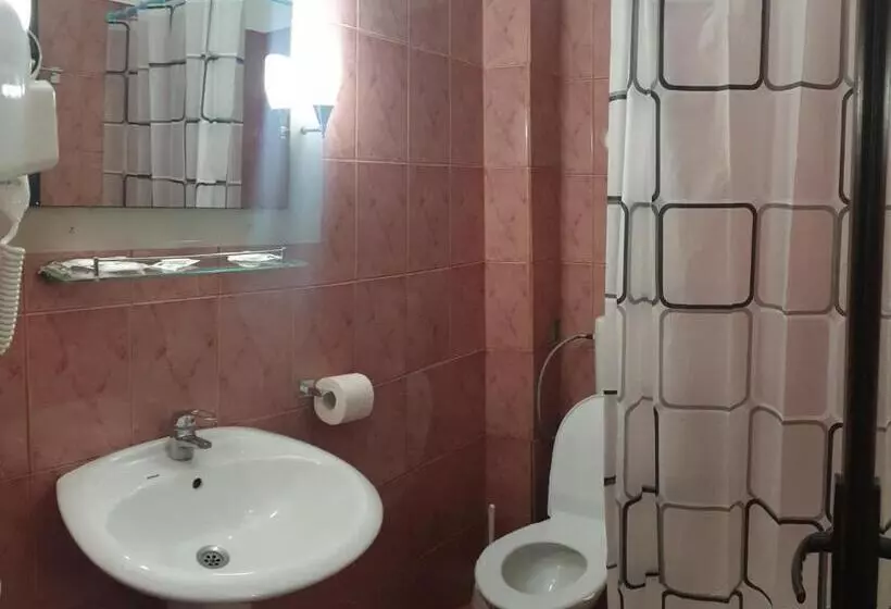 پانسیون Valea Doamnei