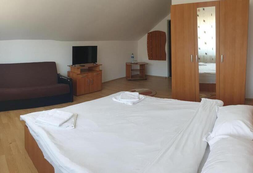 ペンション Valea Doamnei